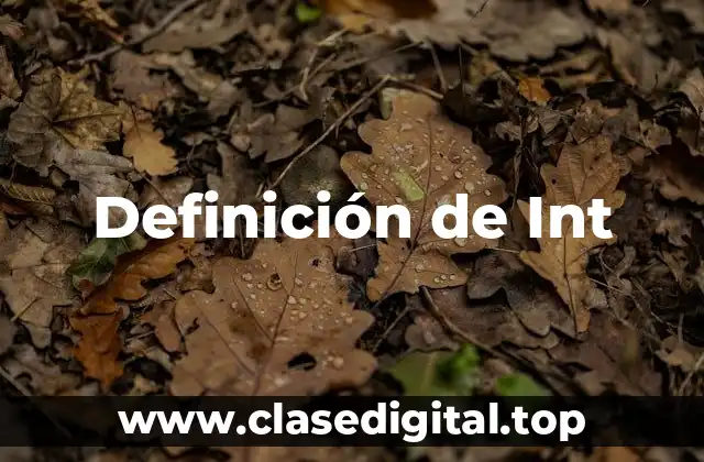 Definición de Int