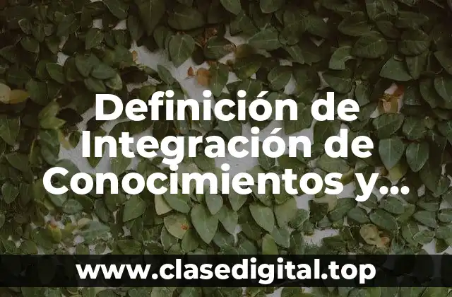 Definición de Integración de Conocimientos y Competencias