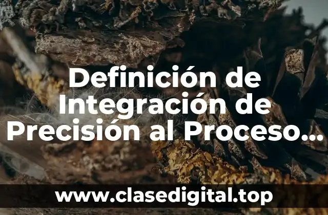 Definición de Integración de Precisión al Proceso Administrativo