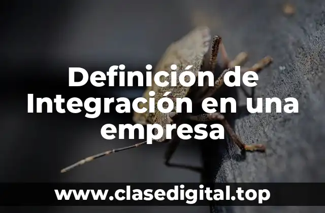 Definición de Integración en una empresa