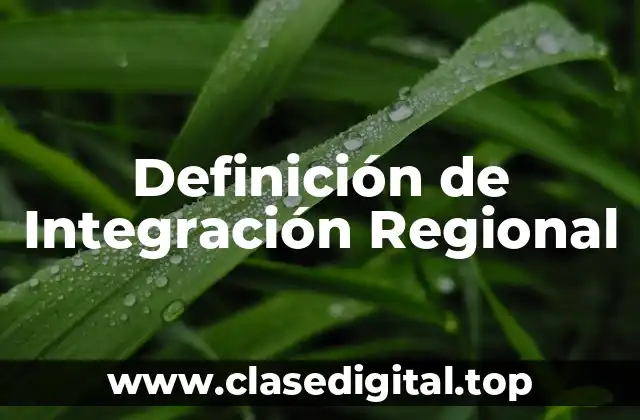 Definición de Integración Regional