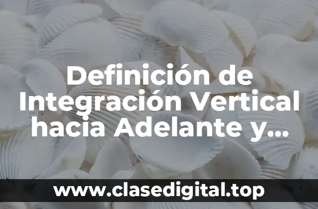 Definición de Integración Vertical hacia Adelante y hacia Atrás