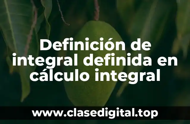 Definición de integral definida en cálculo integral