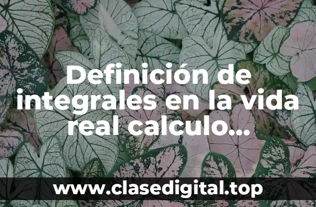 Ejemplos de integrales en la vida real