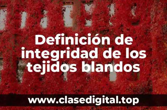 Definición de integridad de los tejidos blandos