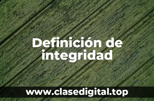 Definición de integridad