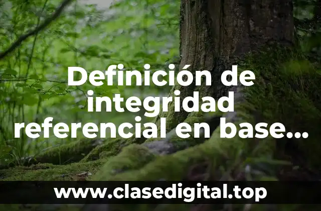 Definición de integridad referencial en base de datos