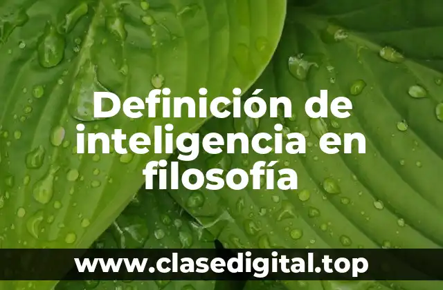 Definición técnica de inteligencia en filosofía