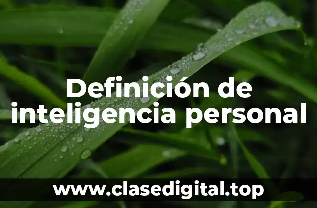 Definición de inteligencia personal