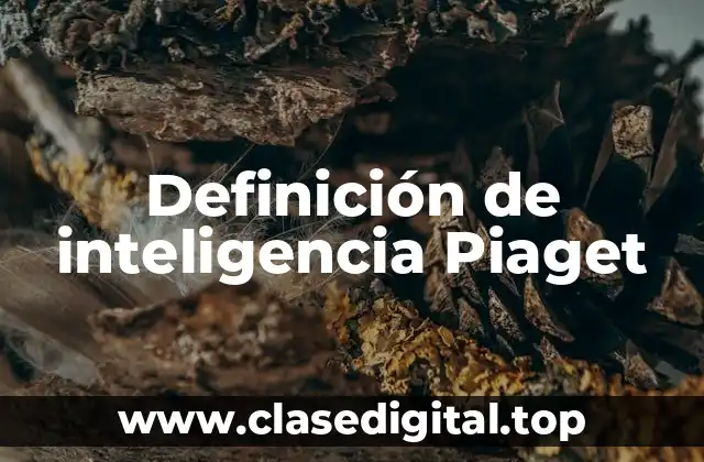 Definición de inteligencia Piaget