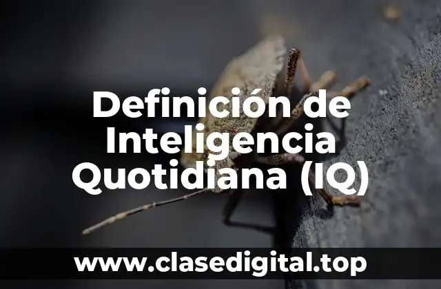 Definición de Inteligencia Quotidiana (IQ)