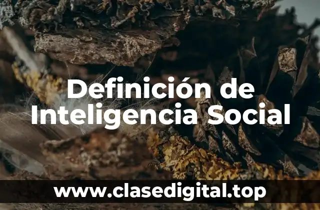 Definición de Inteligencia Social