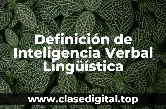 Definición de Inteligencia Verbal Lingüística