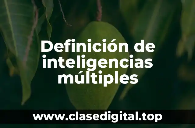 Definición técnica de inteligencias múltiples