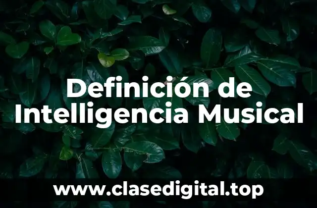 Definición de Intelligencia Musical