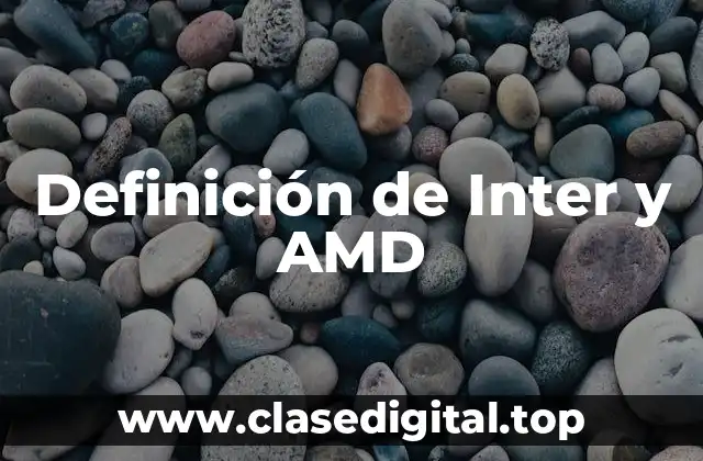 Definición de Inter y AMD