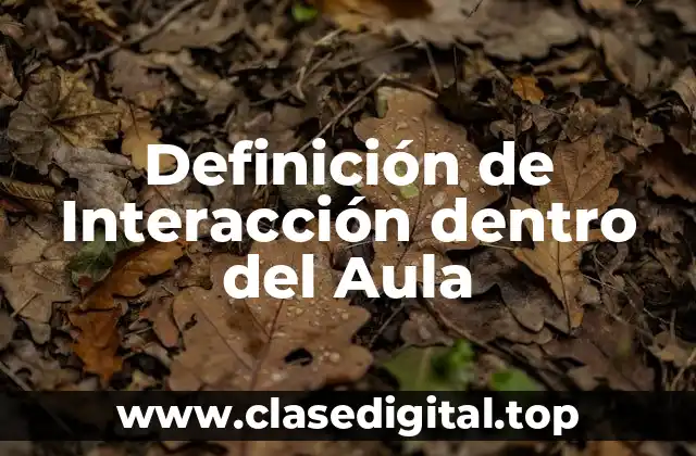 Definición de Interacción dentro del Aula