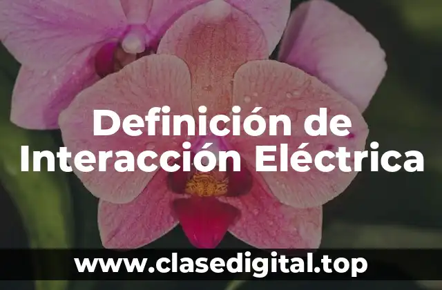 Definición de Interacción Eléctrica