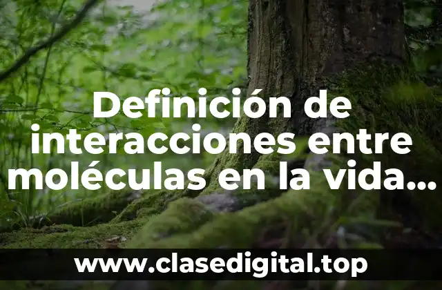 Ejemplos de interacciones entre moléculas en la vida cotidiana