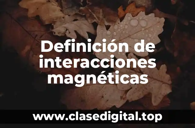 Definición de interacciones magnéticas