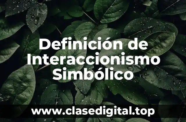 Definición de Interaccionismo Simbólico
