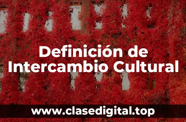 Definición de Intercambio Cultural