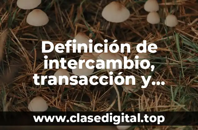 Definición de intercambio, transacción y relación en marketing