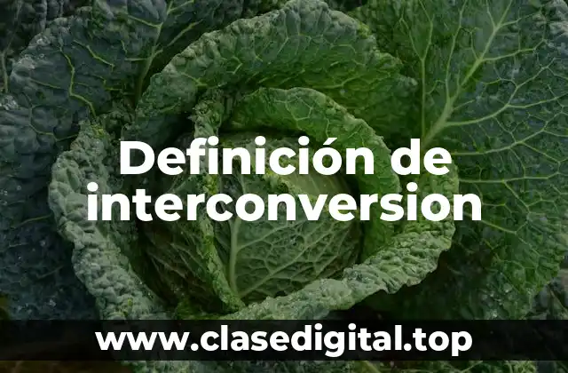 Definición de interconversion