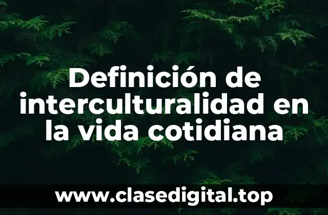 Definición de interculturalidad en la vida cotidiana