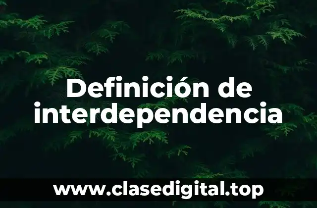 Definición de interdependencia