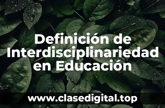 Definición de Interdisciplinariedad en Educación