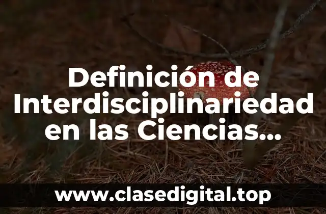 Definición de Interdisciplinariedad en las Ciencias Sociales