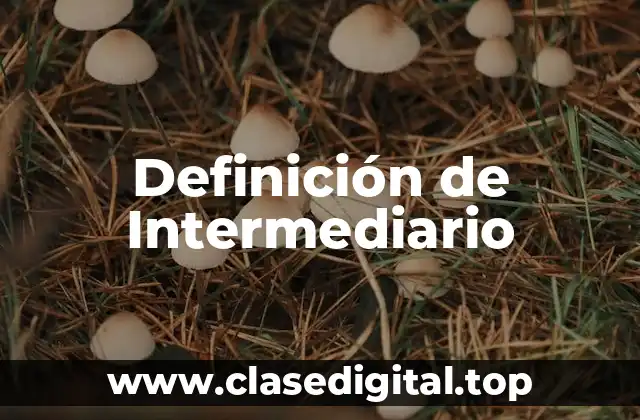 Definición de Intermediario