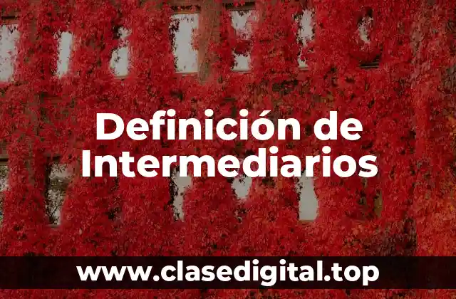 Definición técnica de intermediario