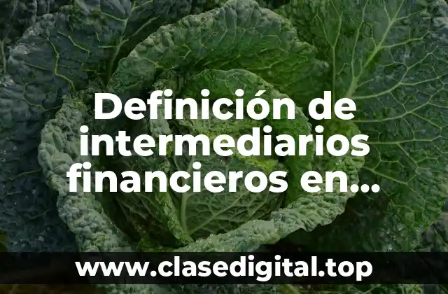 Definición de intermediarios financieros en México
