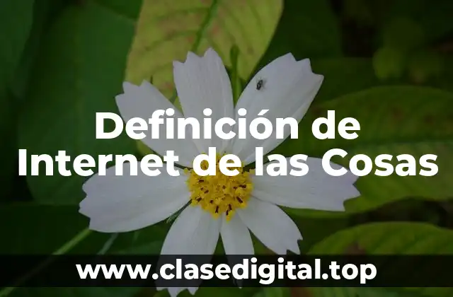 Definición de Internet de las Cosas