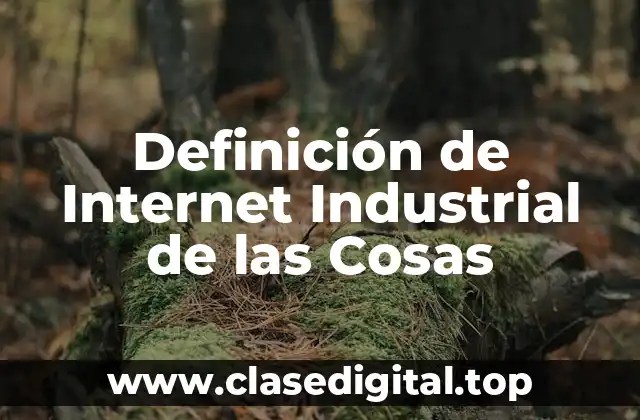 Definición técnica de Internet Industrial de las Cosas