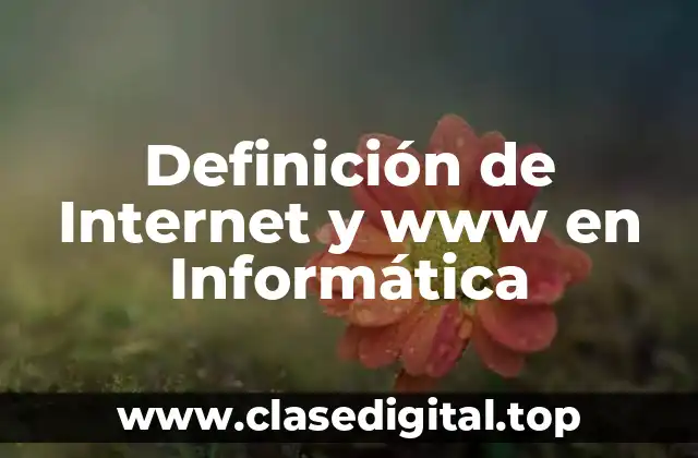 Definición de Internet y www en Informática