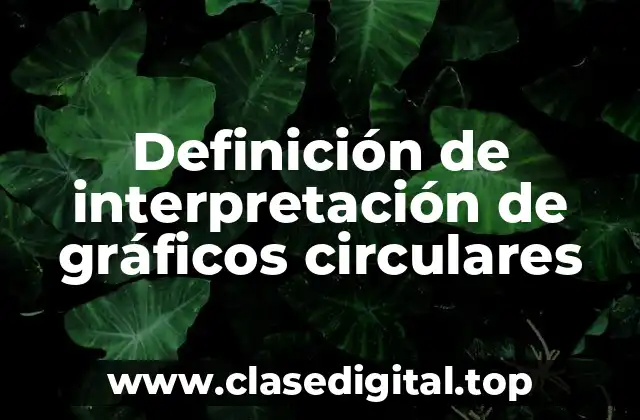 Definición de interpretación de gráficos circulares