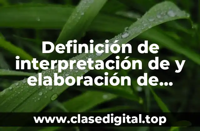 Definición de interpretación de y elaboración de gráficas