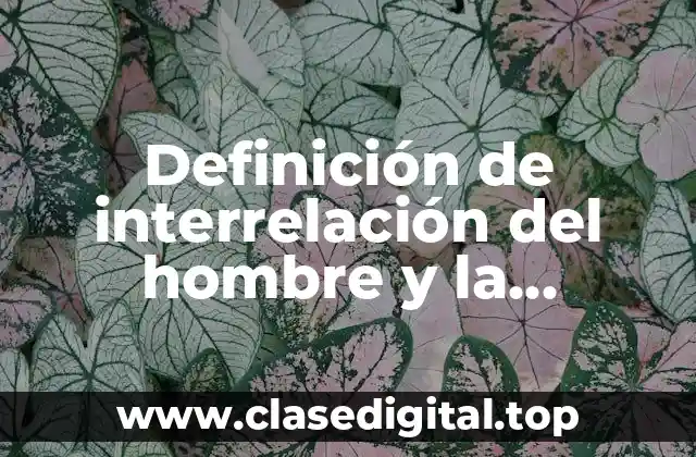 Definición de interrelación del hombre y la sociedad
