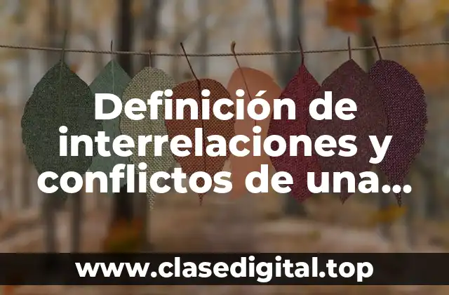 Definición de interrelaciones y conflictos de una empresa