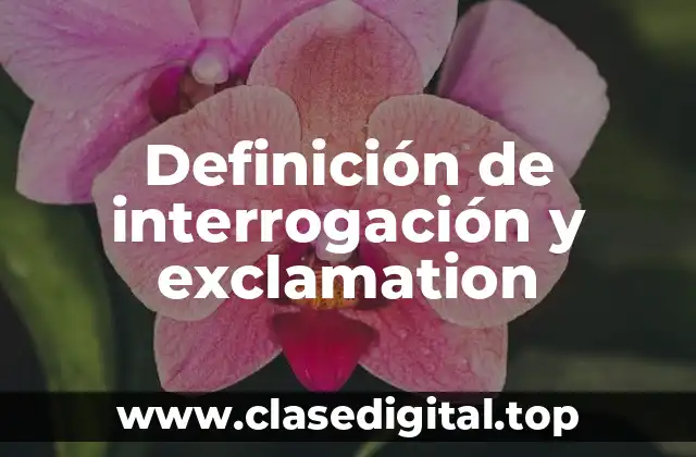 Definición de interrogación y exclamation