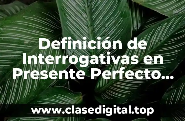 Definición de Interrogativas en Presente Perfecto Simple en Inglés