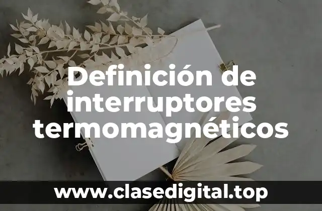 Definición de interruptores termomagnéticos
