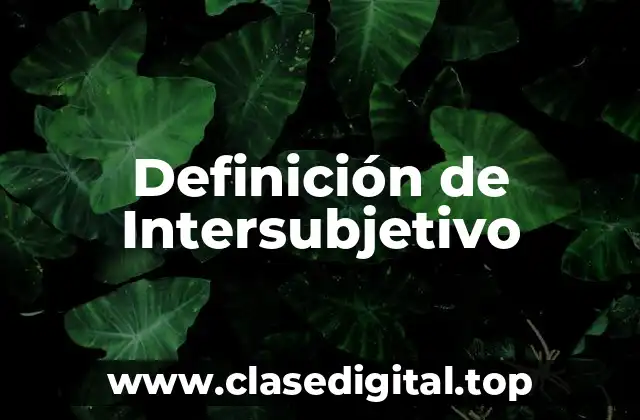 Definición técnica de Intersubjetivo
