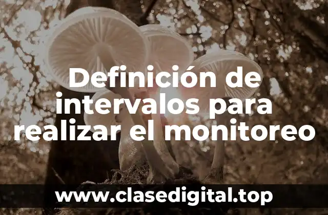 Definición de intervalos para realizar el monitoreo