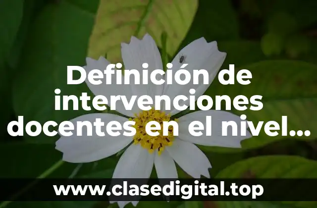 Ejemplos de intervenciones docentes en el nivel inicial