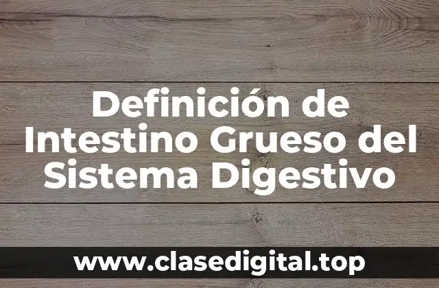 Definición de Intestino Grueso del Sistema Digestivo