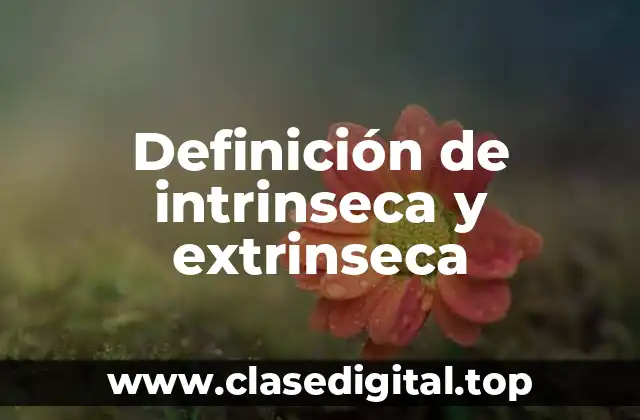 Definición de intrinseca y extrinseca